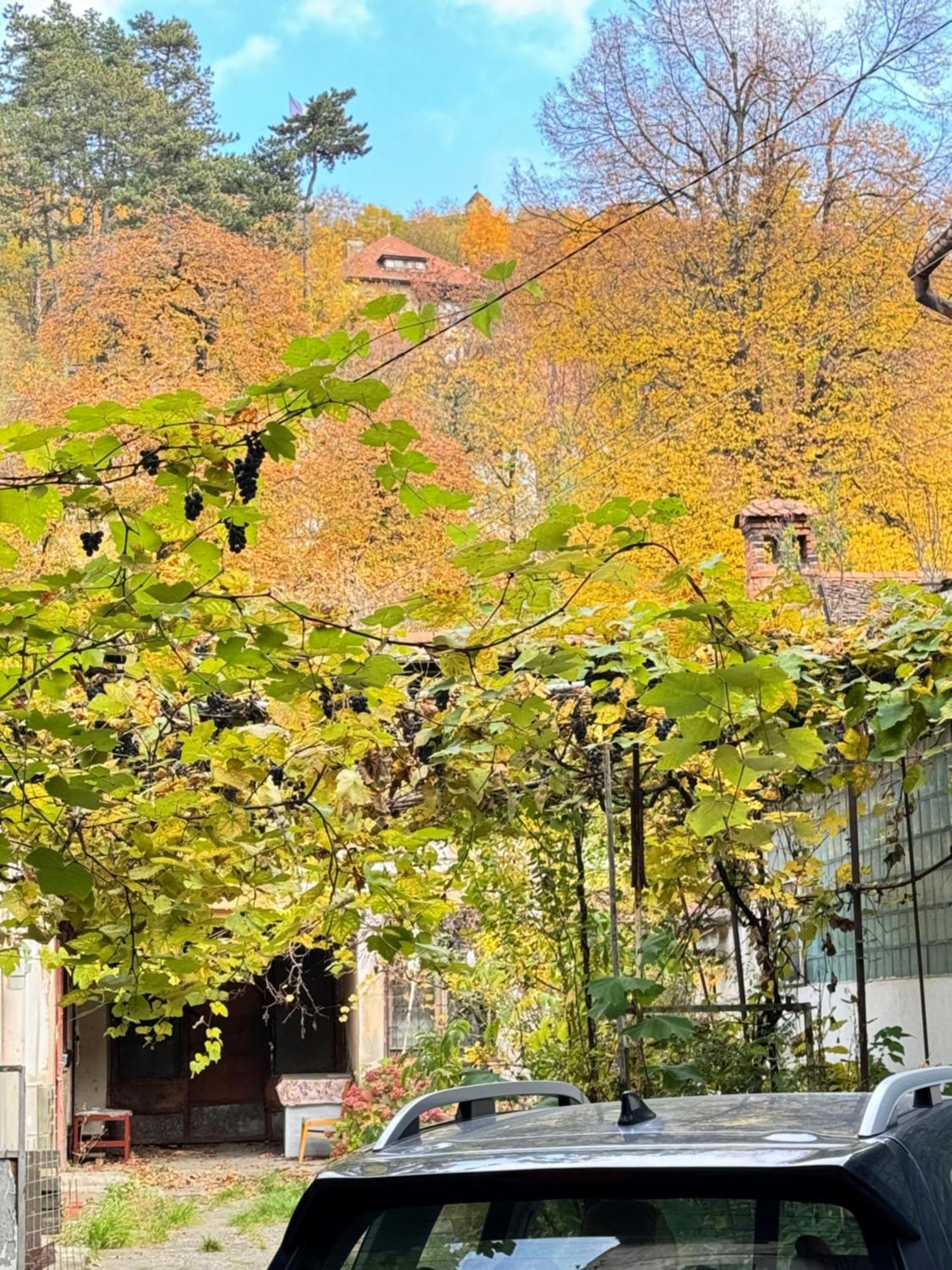 Вилла Casa Ming Брашов Экстерьер фото